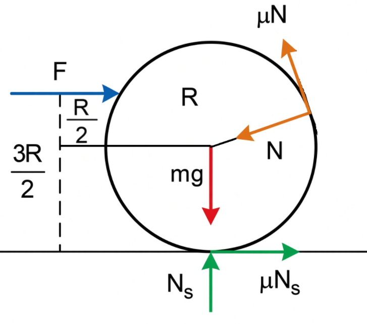 Diagrama de Forças
